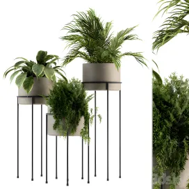 Indoor plant plant stand